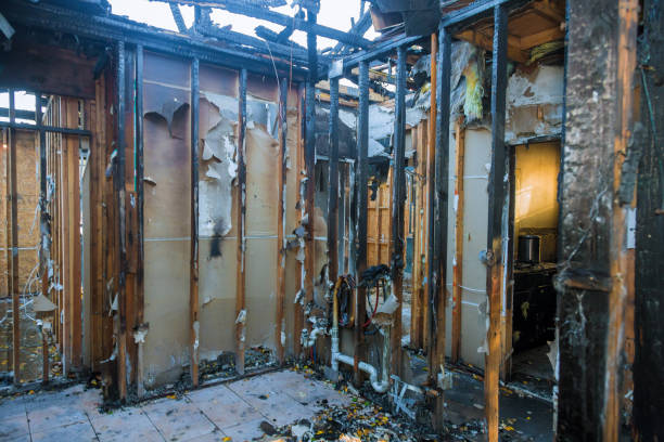 Professional Fire Damage Removal technician working in Elk Point, SD